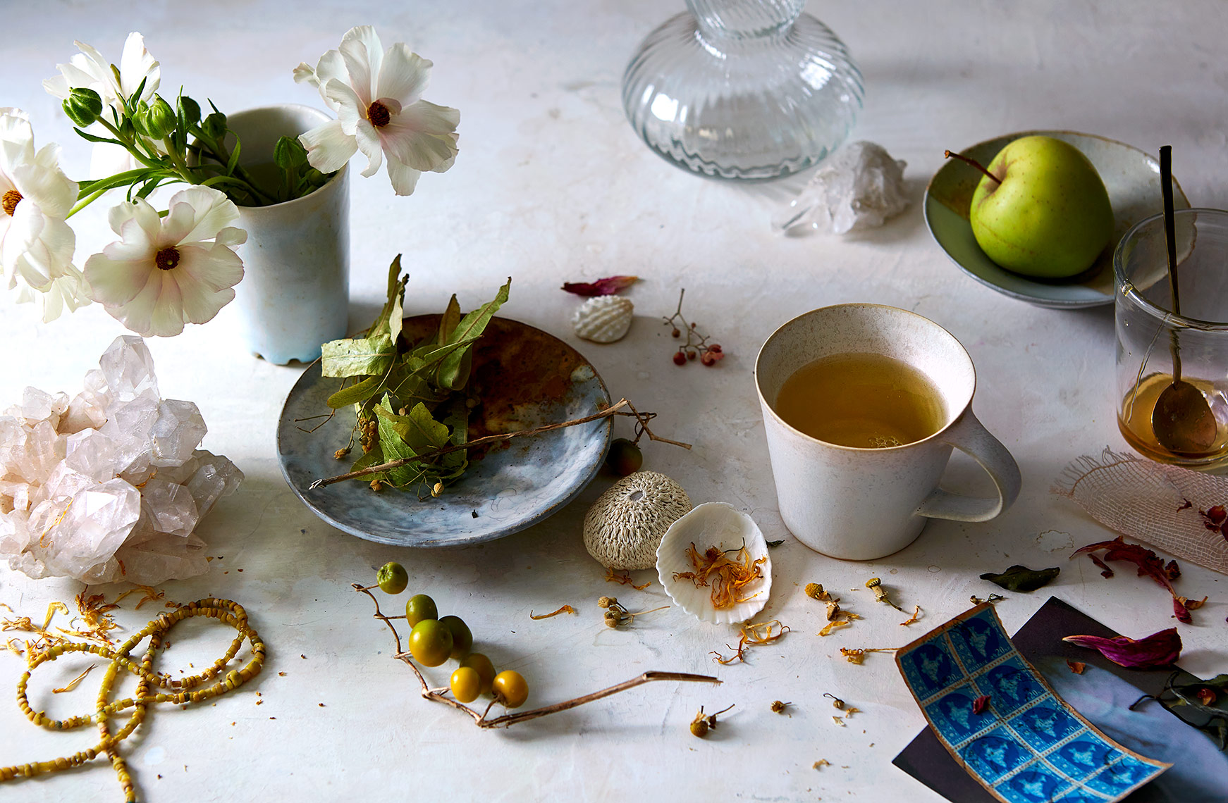 H21_Bellocq-TeaBotanicals-631-WHOLE