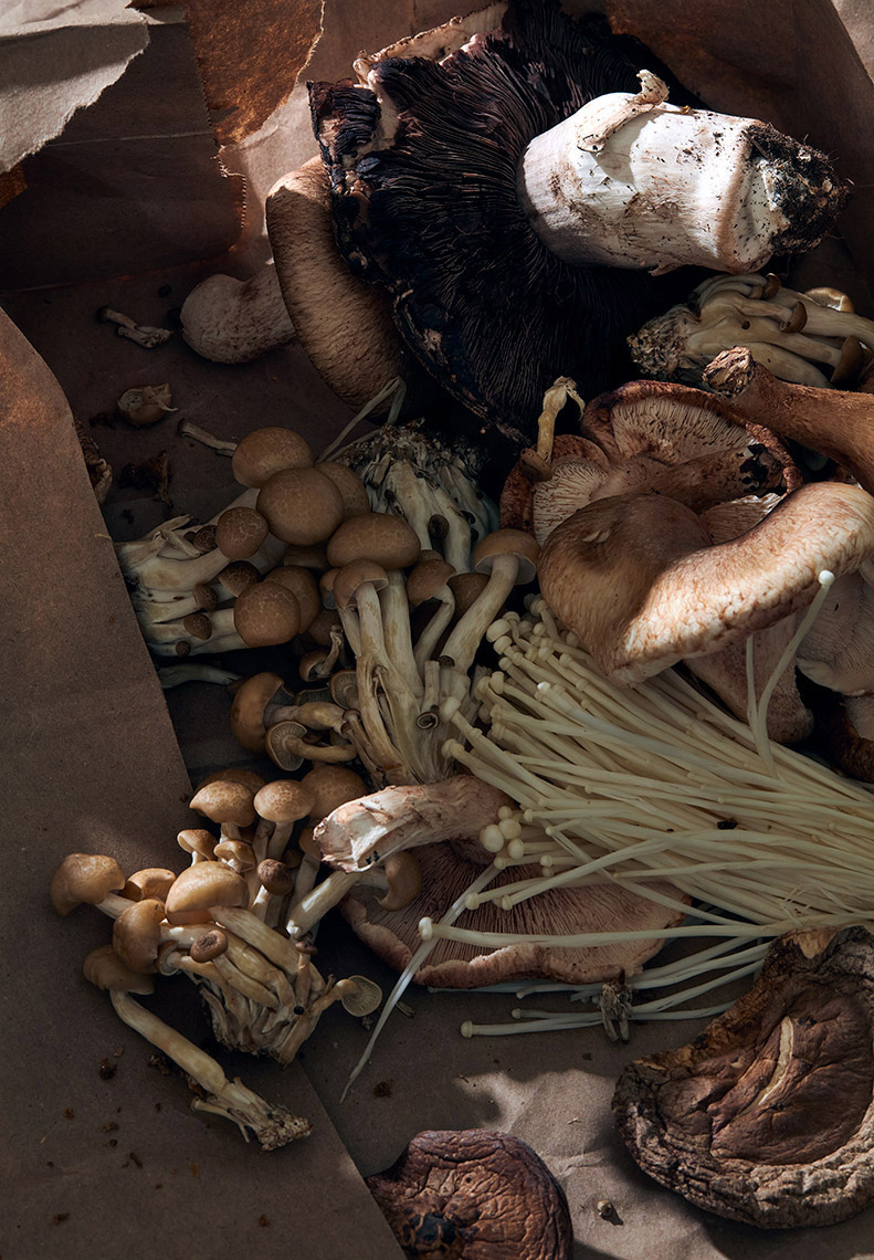 Mushrooms-426