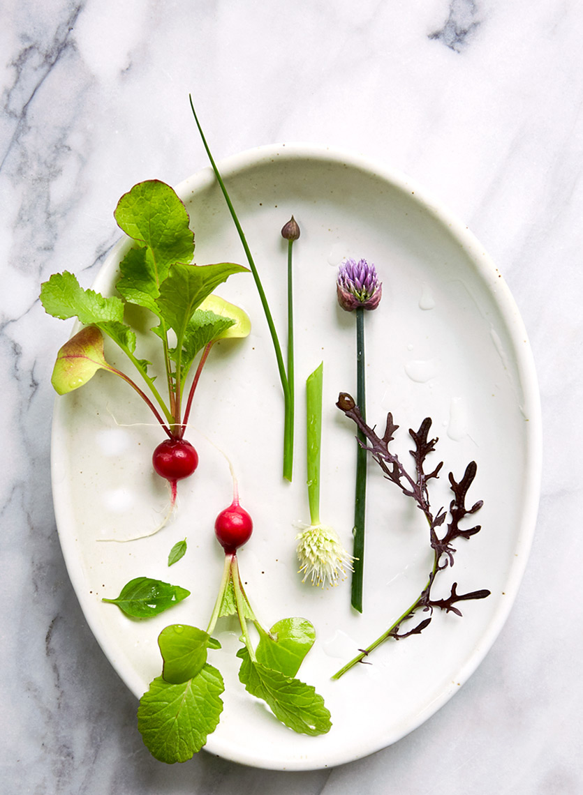 SpringVegetablesCover