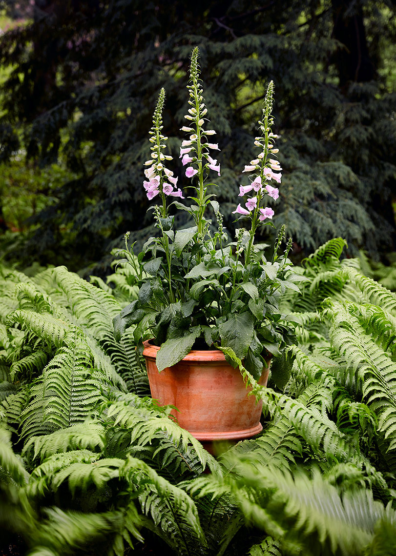 TERMAY23_DBTContainers_Planter03_1442