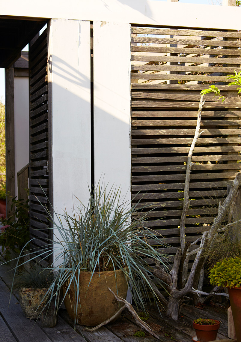 Tashima_Manscapers_WaterIsland-DriftwoodDetail